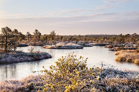 Endla Nature Reserve