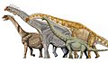 Illustration of various macronarian sauropods