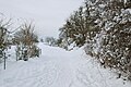 Ein verschneiter Feldweg