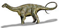 Illustration of Nigersaurus