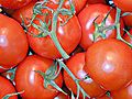 Tomates en el supermercado / Tomatoes in the supermarket shelf / Tomaten im Supermarktregal.