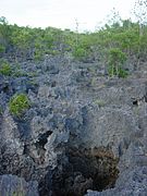 Aldabra Atoll-108997.jpg