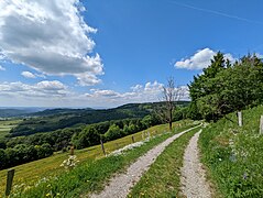 Biosphaerenreservat Rhön.jpg