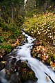 15 Wahkeena Falls October 2019 uploaded by King of Hearts, nominated by King of Hearts