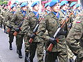 Coastal Defence Units