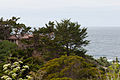 * Nomination House in Carmel Highlands, CA. --King of Hearts 01:30, 18 December 2012 (UTC) * Promotion Good quality. --A.Savin 09:51, 18 December 2012 (UTC)