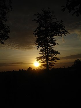 Sunset in Cambodia