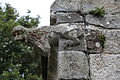 Plouguerneau : chapelle Notre-Dame du Traon, statue servant de gargouille 3