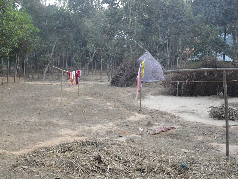 File:Lalmai Hills in 2019.35.jpg