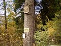 Bat house of Myotis daubentonii in Radevormwald.