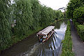 Uji River / 宇治川派流