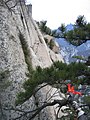 Branches, Hua Shan, Shaanxi