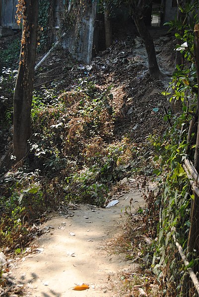 File:Lalmai Hills in 2019.17.jpg