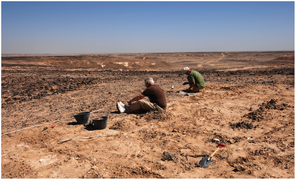 January 24: Archaeological excavations in the Dhofar mountains in Oman.