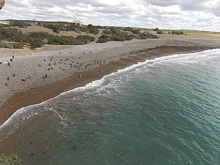 PuntaTombo, Chubut