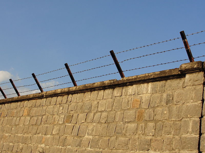 File:A thorn wire wall 1.JPG