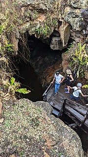 Thumbnail for File:Cenote Platform.jpg