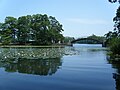 Onuma Marsh (Nanae Town) 大沼（七飯町）