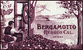 XIX century label of the famous "Reggio Calabria Bergamot"