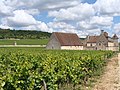 Château et vue partielle du domaine de Clos-Vougeot un des plus célèbres vignobles de Bourgogne   20 mai 2010