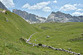 * Nomination Pasture Ncisles Pieralongia in Val Gardena - altitude 2100 mslm. --Moroder 11:18, 21 July 2015 (UTC) * Promotion Good quality.--ArildV 12:57, 21 July 2015 (UTC)