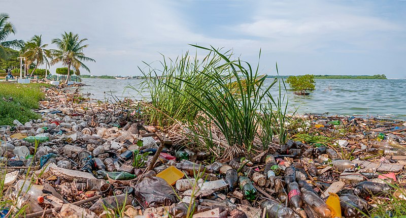 File:Pollution in Maracaibo lake.jpg