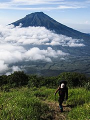 Sumbing from Sindara