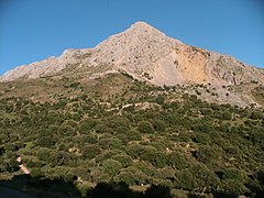 MONTE "PEÑA DE JAÉN".jpg