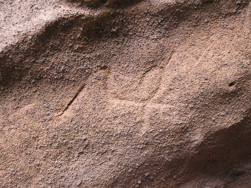 File:Petroglyphen Buracas auf La Palma.JPG