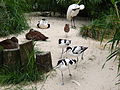 Deutsch: Löffler (Platalea leucorodia), Eiderenten (Somateria mollissima), Kampfläufer (Philomachus pugnax) und Säbelschnäbler (Recurvirostra avosetta) im Tierpark Bochum. English: Eurasian spoonbill (Platalea leucorodia), common eiders (Somateria mollissima), ruff (Philomachus pugnax) and pied avocet (Recurvirostra avosetta) in the Tierpark Bochum, Germany.   This file was uploaded with Commonist.