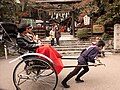 Tourists ride a rickshaw past the Nonomiya Jinja (野宮神社)