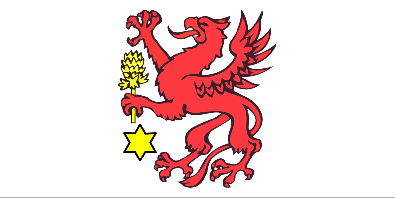 File:POL Wolin flag.svg