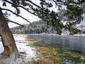 * Nomination Madison river in October, near Sevenmile bridge, YNP User:Mike Cline 25 February 2008 (UTC) * Decline Realy beatifull place and nice framing. But chromatic aberration is very strong and snow seems to be overexposed. Sadly. sfu 22:29, 27 February 2008 (UTC)