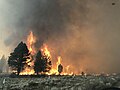 * Nomination Ponina Wildfire in Oregon 2021 --RoanokeVirginia 09:46, 22 July 2021 (UTC) * Decline  Oppose Only photographs created by Wikimedians are eligibile for QI, sorry. Rodhullandemu 09:50, 22 July 2021 (UTC)