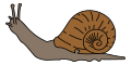 Snail facing left.svg