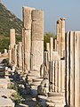 * Nomination Columns in Ephesus, in modern-day Turkey. --Kadellar 19:05, 14 January 2012 (UTC) * Promotion Good quality. --Taxiarchos228 20:58, 20 January 2012 (UTC)