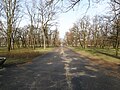 Park Tysiąclecia (Millennium Park)