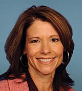 Cheri Bustos 113th Congress.jpg