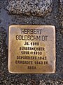 image=https://commons.wikimedia.org/wiki/File:Goldschmidt_Herbert_Stolperstein_Magdeburg.jpg