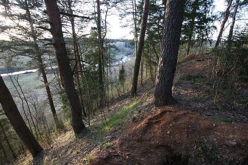 File:Old entrenchment - panoramio.jpg