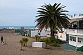 * Nomination Torreon del Monje beach, Mar del Plata, Argentina --Ezarate 20:49, 31 July 2016 (UTC) * Promotion  Comment Composition could be better: Lonely person at the left, three persons at the right. CAs at the tree and the building top right. White area top left. DEscription should be better (playa? building?). EXIF data of the photograph missing. --XRay 05:14, 1 August 2016 (UTC)  Done Except invite people to retire of the place! Regards --Ezarate 14:17, 1 August 2016 (UTC)  Support Acceptable now. Thank you. --XRay 05:29, 2 August 2016 (UTC)