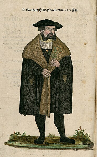 File:Leonhart Fuchs 1543.jpg