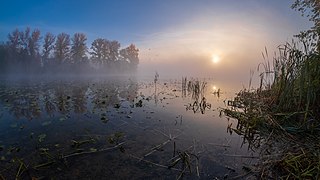 Ранкові кольори у заказнику Бобровня