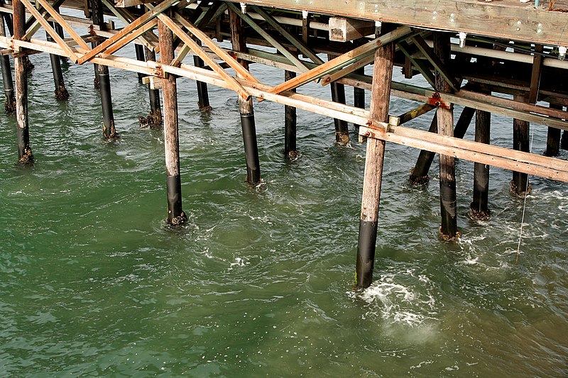 File:Pilings (259642876).jpg