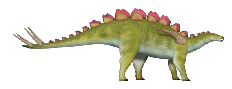 File:Yingshanosaurus UDL.png