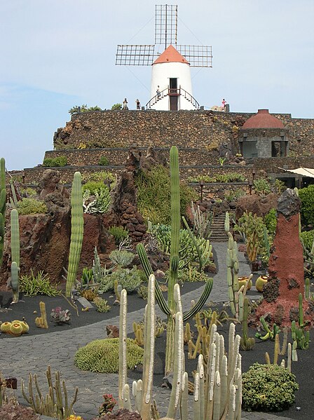 File:Jardin de cactus de Lanzarote.JPG