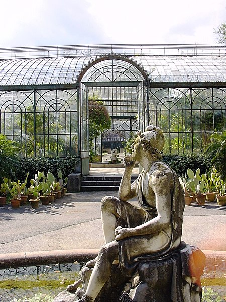 File:Orto botanico Palermo 04.jpg