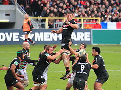 Stade Toulousain vs Harlequin