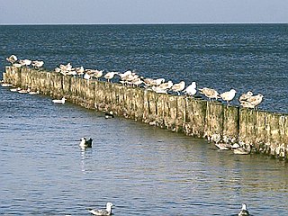 Ustka, beach, 2006