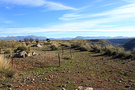 Gorafe Llano de Olivares.JPG